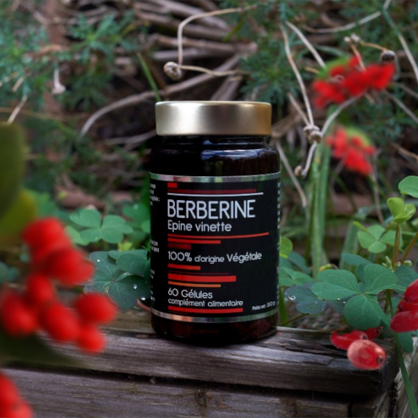berberine1